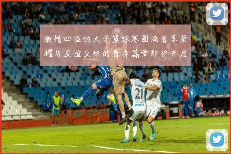 激情四溢的大学篮球赛圆满落幕荣耀与友谊交织的青春篇章即将开启